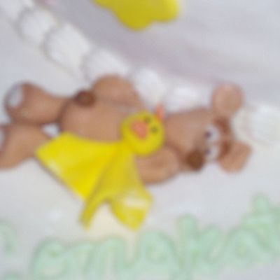 Baby Bear Cake