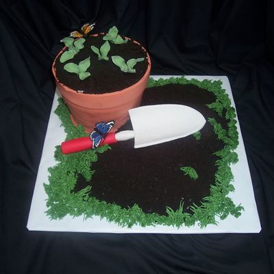 Terra Cotta Flower Pot