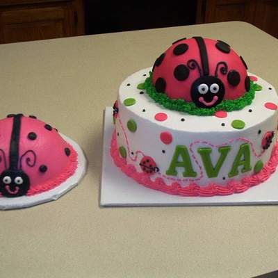 Ladybug Cake