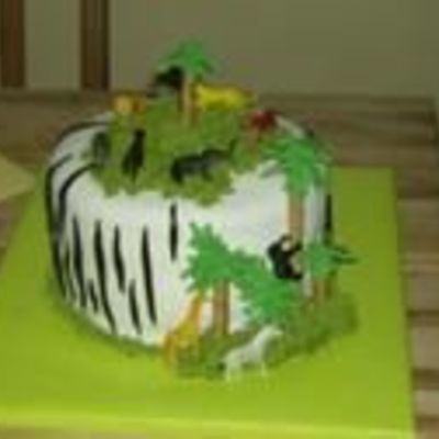 Cameron's Safari Cake