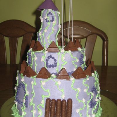 Another Castle Cake