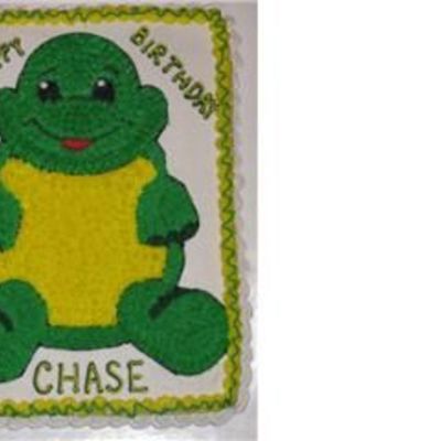 Webkinz Turtle