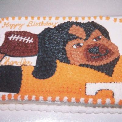 University Of Tennessee's Smokey