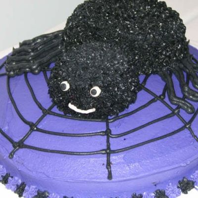 Spider