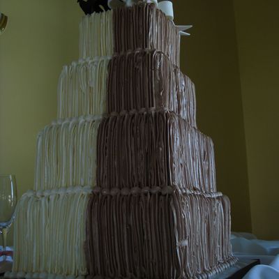 My Brown And White Baby