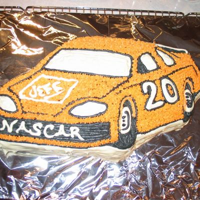 20 Tony Stewart Race Car Hurry Up Job :(