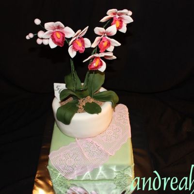 Gallery5403831274399817