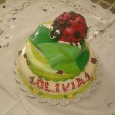 Ladybug Birthday Cake