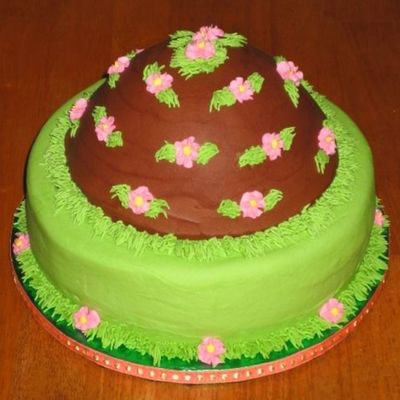 Side View Over The Hill Cake