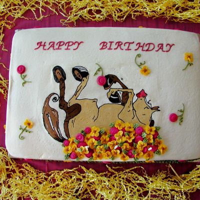 Silly Horse Birthday