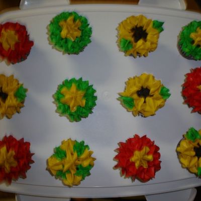 Cupcakes For Camping Trip