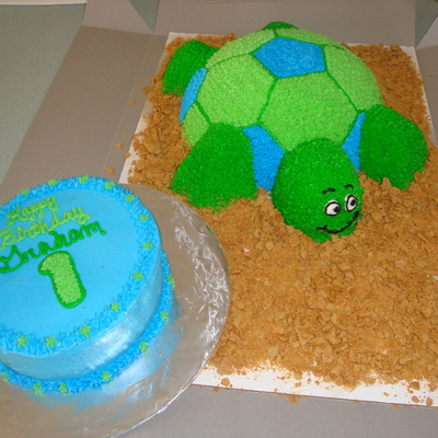 1St Birthday Turtle