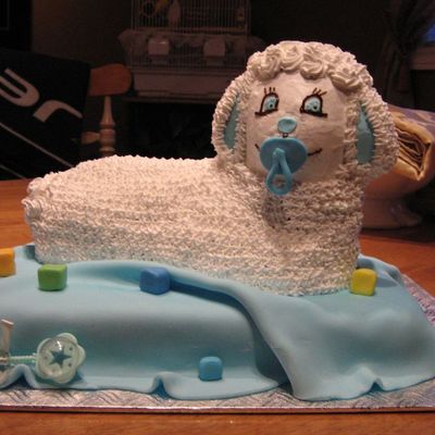 Mouton_Shower_Juin_2007_4.jpg