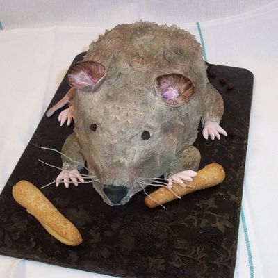 Rat Shaped Cake