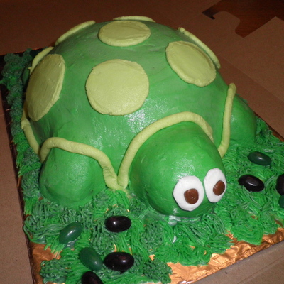 Turtle Cake