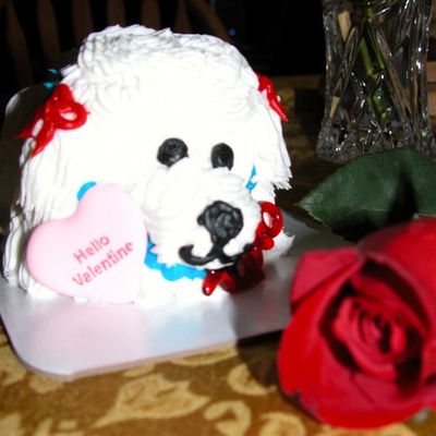 Valentines Poodle