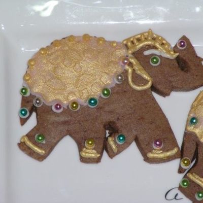Close Up Of Jewelled Elephant