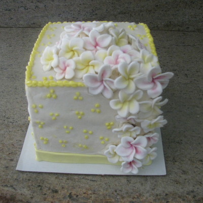 Plumeria Anniversary Cake