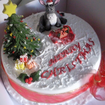 Donkeys Special Christmas Present