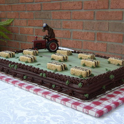 Groom's Cake Hay Bale
