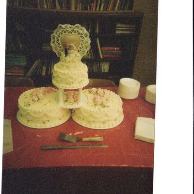 Shades Of Pink And Ivory