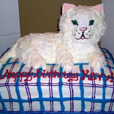 Kitty Cat On Big Cushion