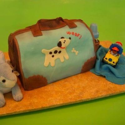 Diaper Bag Cake