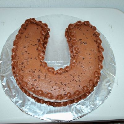 Horse Shoe Birthday