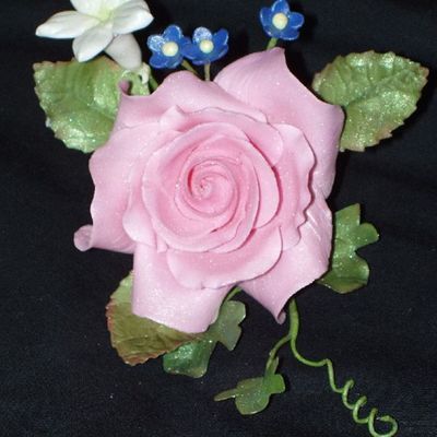 Closeup Of Pink Rose