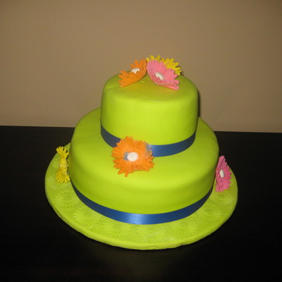 Lime Green Gerber Daisy