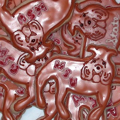 Louder! Goooooo Bulldogs!