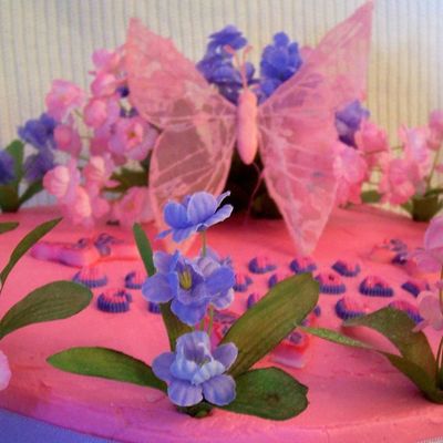 Butterfly Cake