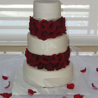 Trisha And Alex's Wedding Cake