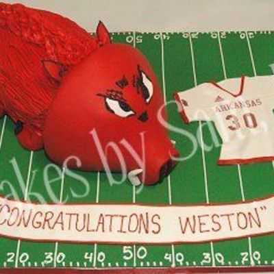 3D Arkansas Razorback Cake
