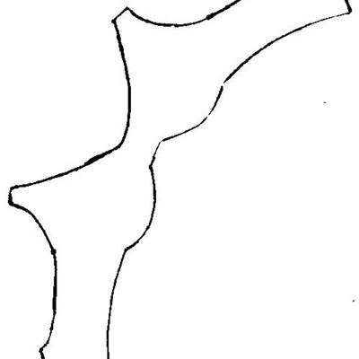 Gumpaste Bra