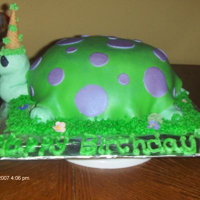 Turtle Cake