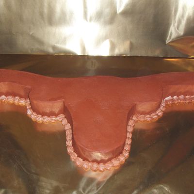 Texas Longhorns