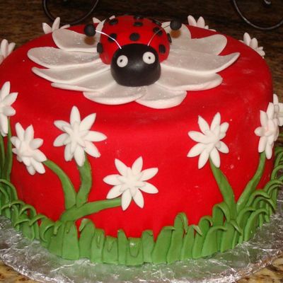 Ladybug Birthday