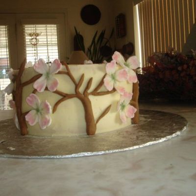 Grandma's 81St Birthday Cake