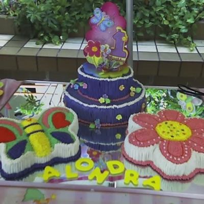 Butterfy And Flowers