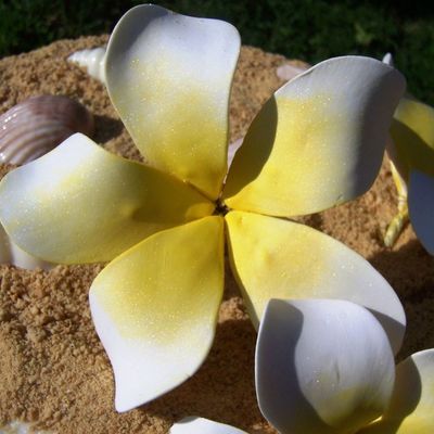 Aloha Nui Loa Maile Lei