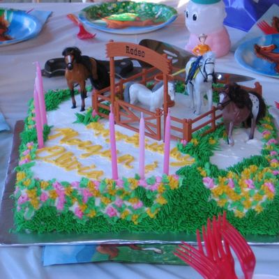 Cowgirl/rodeo Cake