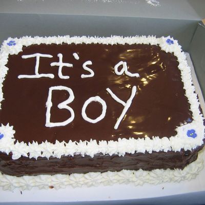 Simple Ice Cream Cake