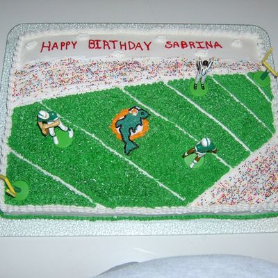 Miami Dolphins