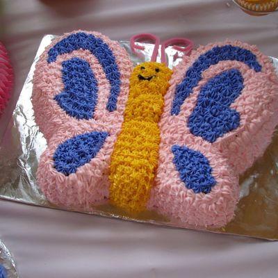 Pink Butterfly Cake