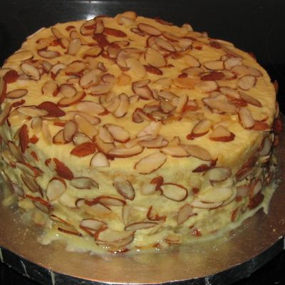 Dalmatian Cake - European Style