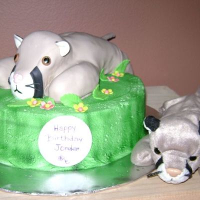 Florida Panther