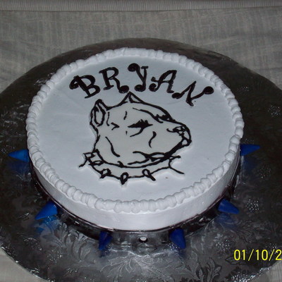Pitbull Cake