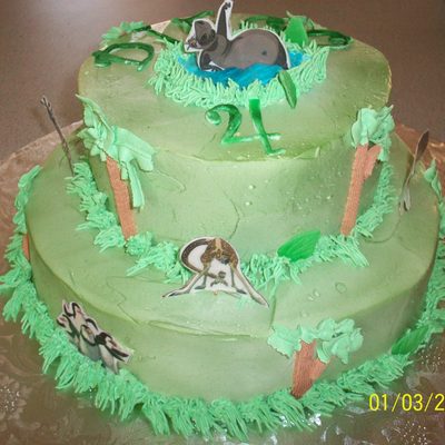 Madagascar Cake