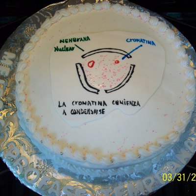 Meiosis Profase Cake